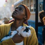 Hollywood'da patilerin şafağı: Kediler beyaz perdede en çok aranan aktörler