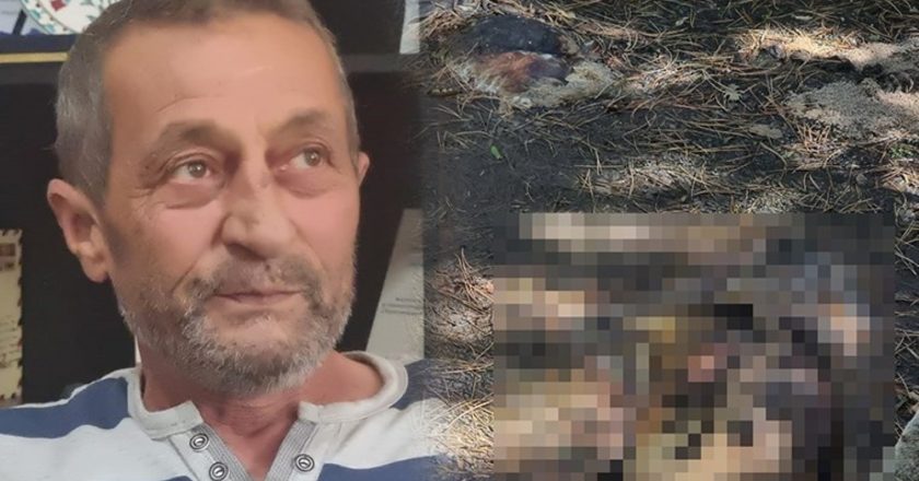 Kütahya'da köpek katliamı yarın! Sulama göletinde ölü bulundu: 'Oğlumu kaybetmiş gibiyim' – Son Dakika Türkiye Haberleri