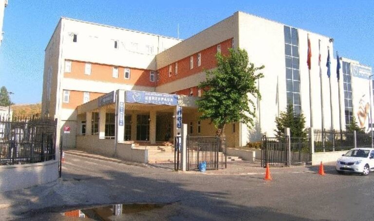 ‘Yenidoğan Çetesi’ Sağlık Politikalarını Sorguladı, CHP Harekete Geçiyor – Son Dakika Sağlık Haberleri