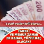 Emekli enflasyon farkı ve memurlarda artış (Mayıs 2025) || Gözler 5 ay! Memur ve emekli maaşlarını artırmak için enflasyon farkı ne kadar, yüzde kaç olacak? Resmi maaş kaç TL olacak?
