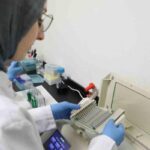 Kanseri Önlemede Yeni Umut: Kereviz Tohumları