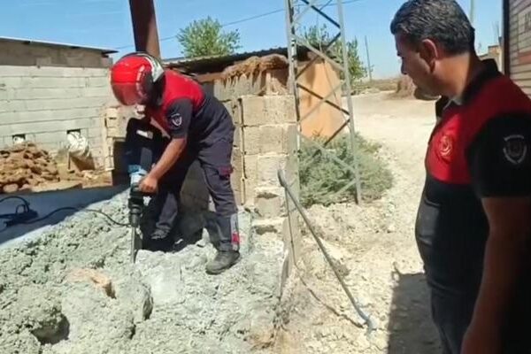 Şanliurfa'da çimento altına sıkışmış 2 kedi kurtarıldı