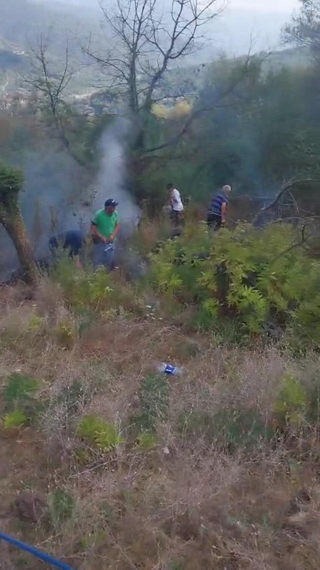 Çimenli bölgedeki yangın, evlere ve ormanlık bölgeye sıçrmadan nesli tükenmişti 3