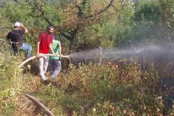 Çimenli bölgedeki yangın, evlere ve ormanlara sıçramadan yok oldu.