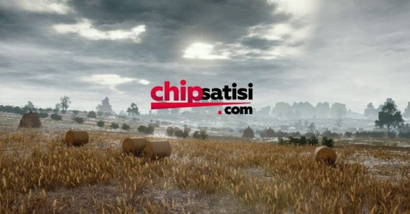 Zynga Poker Chip İhtiyaçlarınız İçin Hızlı ve Kurumsal Çözüm