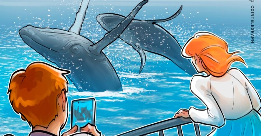 Devasa Bitcoin sert alış ve satışları dikkat çekti