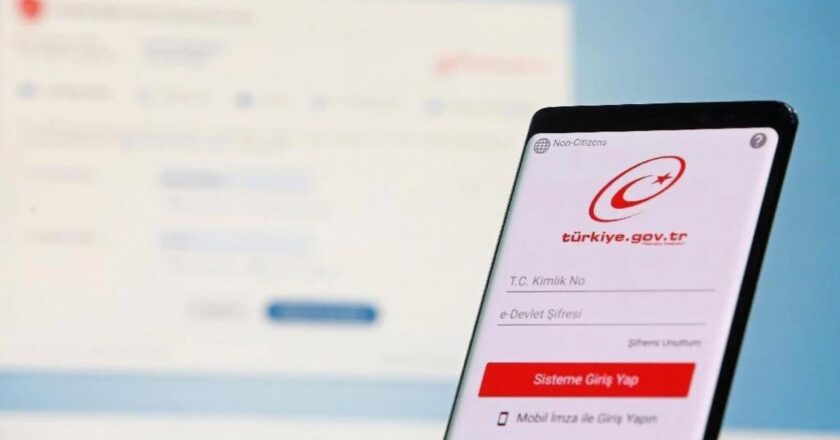 E Devlet sisteminde gizli kalan özellikler ilgi topluyor